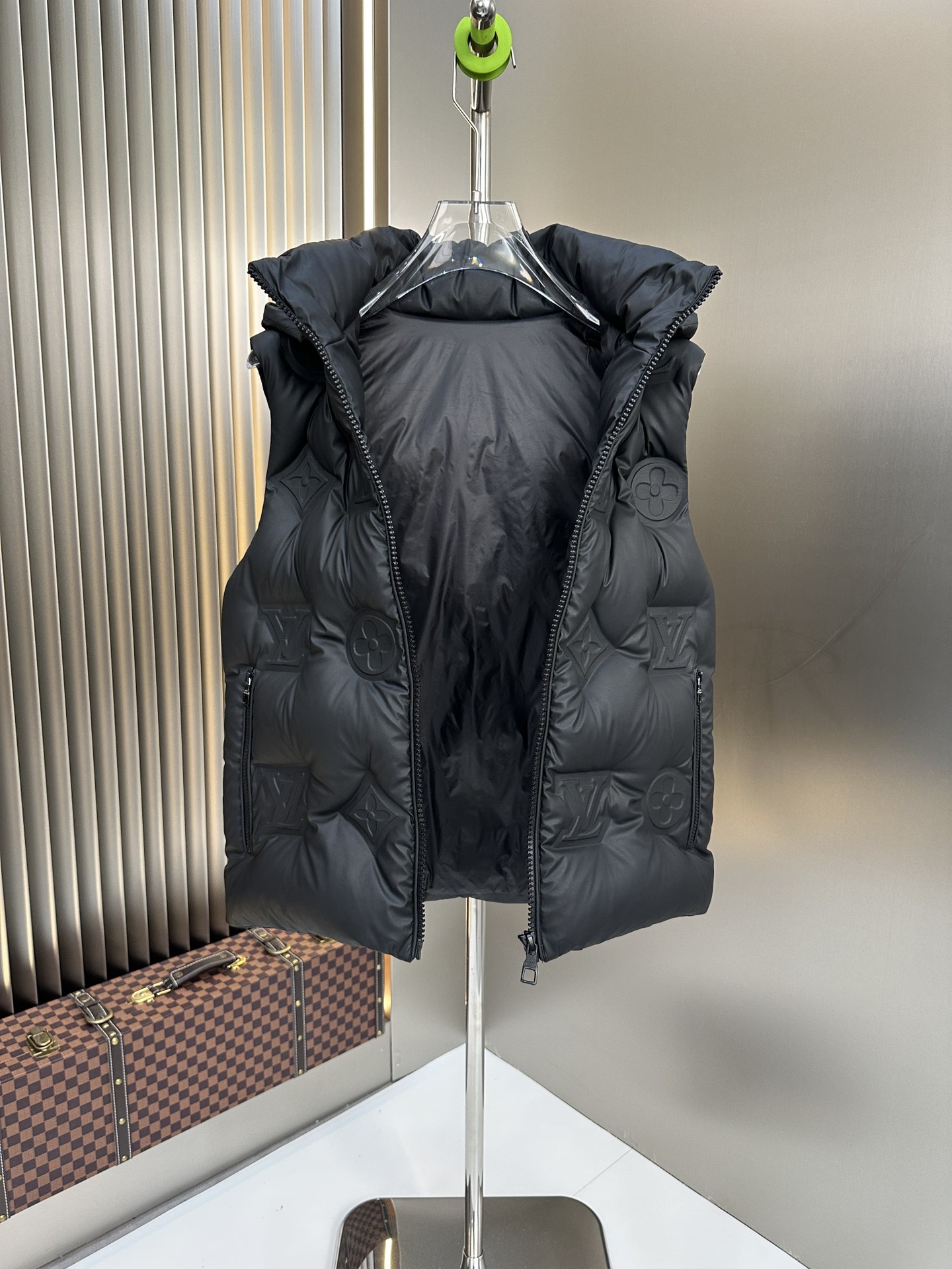 Louis Vuitton Down Jackets